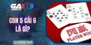 Con 5 Cái 6 Là Gì? Giải Mã Thế Bài Baccarat Khó Nhằn