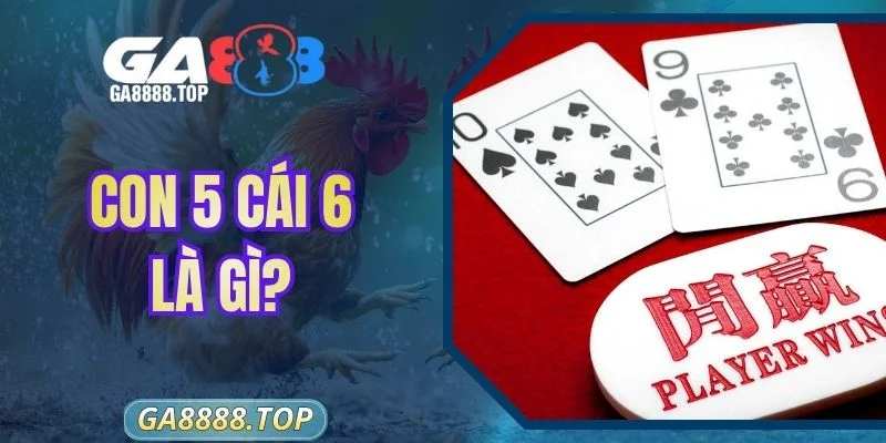 Con 5 Cái 6 Là Gì? Giải Mã Thế Bài Baccarat Khó Nhằn