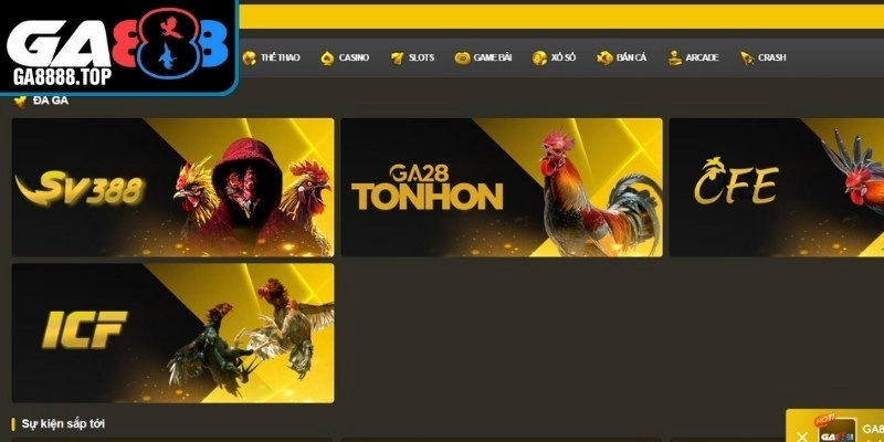 Sự góp mặt của 4 nhà cung cấp game đá gà hàng đầu Châu Á