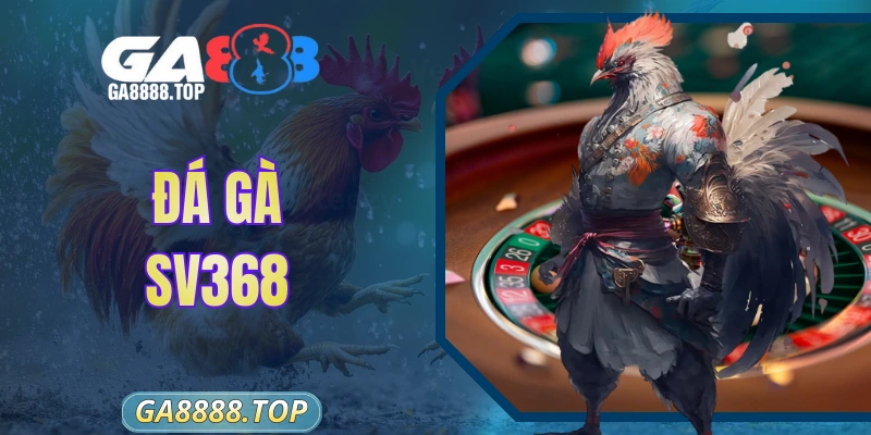 Đá Gà Sv368 - Đấu Trường Trực Tuyến Đỉnh Cao Tại Châu Á