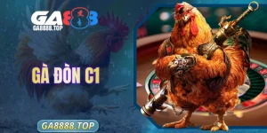 Gà Đòn C1 - Hình Thức Chọi Kê Được Yêu Thích Hiện Nay