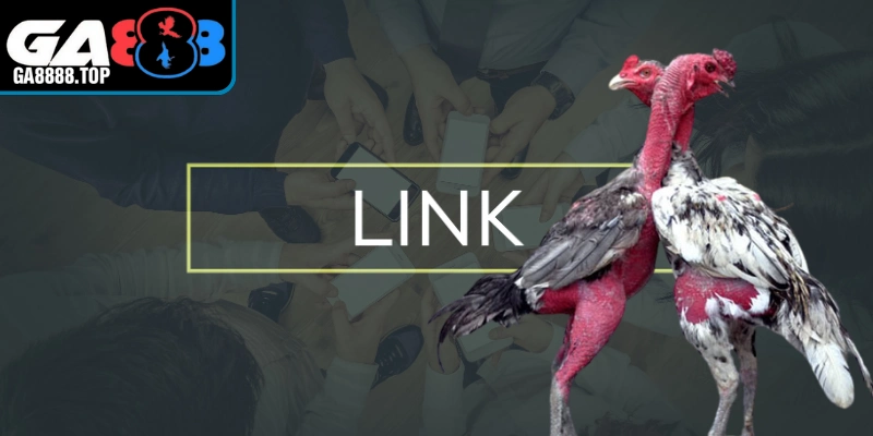 Những vấn đề cần lưu ý khi lựa chọn link truy cập vào đá gà tại GA888